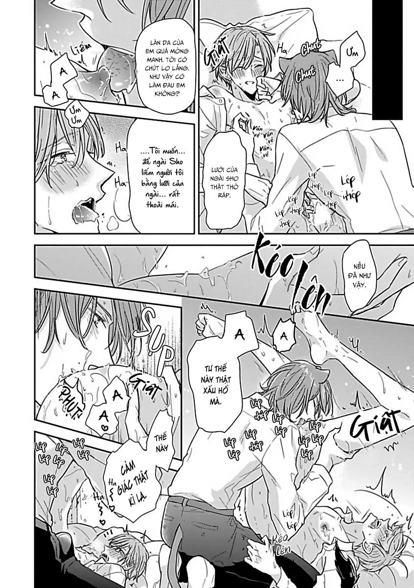 Tuyển Tập Những Con Hàng Ngoại Cỡ Chapter 8 Trang 21