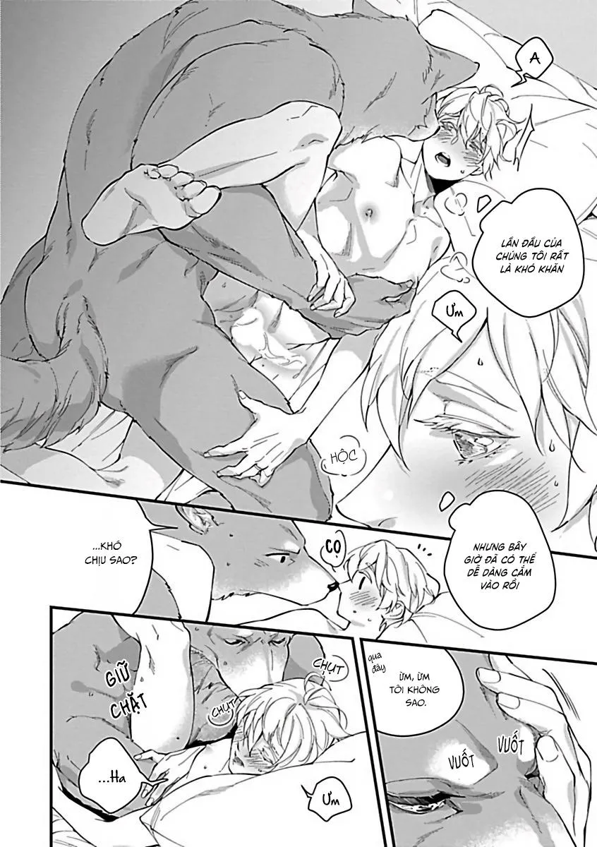 Tuyển Tập Những Con Hàng Ngoại Cỡ Chapter 9 Trang 3