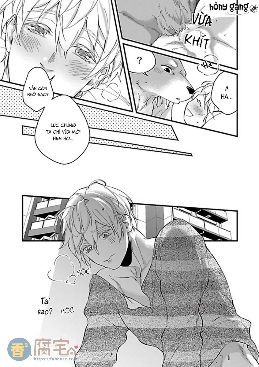 Tuyển Tập Những Con Hàng Ngoại Cỡ Chapter 9 Trang 4