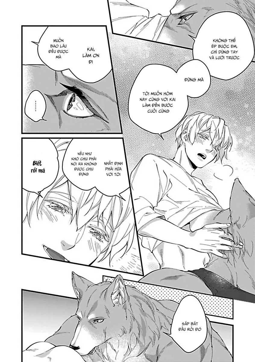 Tuyển Tập Những Con Hàng Ngoại Cỡ Chapter 9 Trang 13