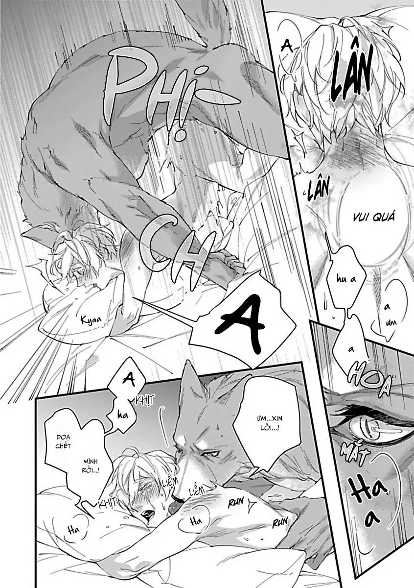 Tuyển Tập Những Con Hàng Ngoại Cỡ Chapter 9 Trang 17