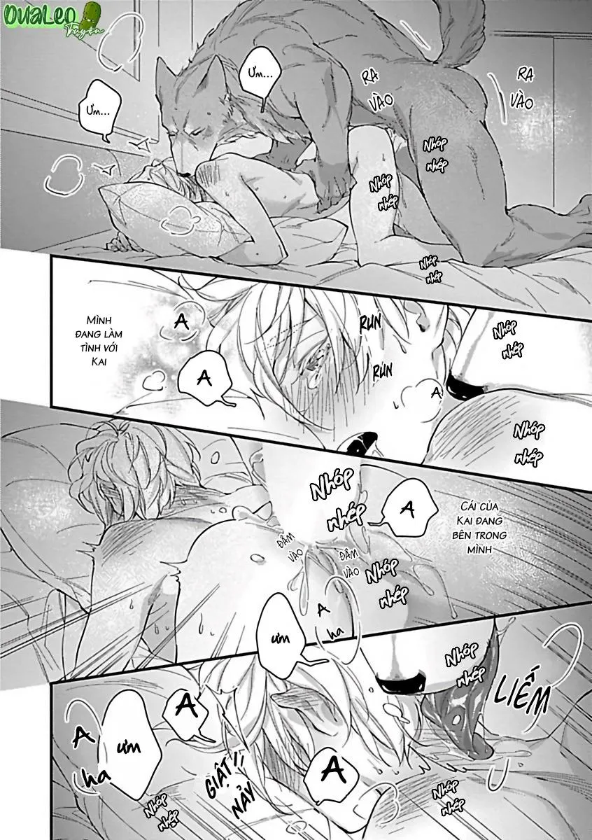 Tuyển Tập Những Con Hàng Ngoại Cỡ Chapter 9 Trang 19