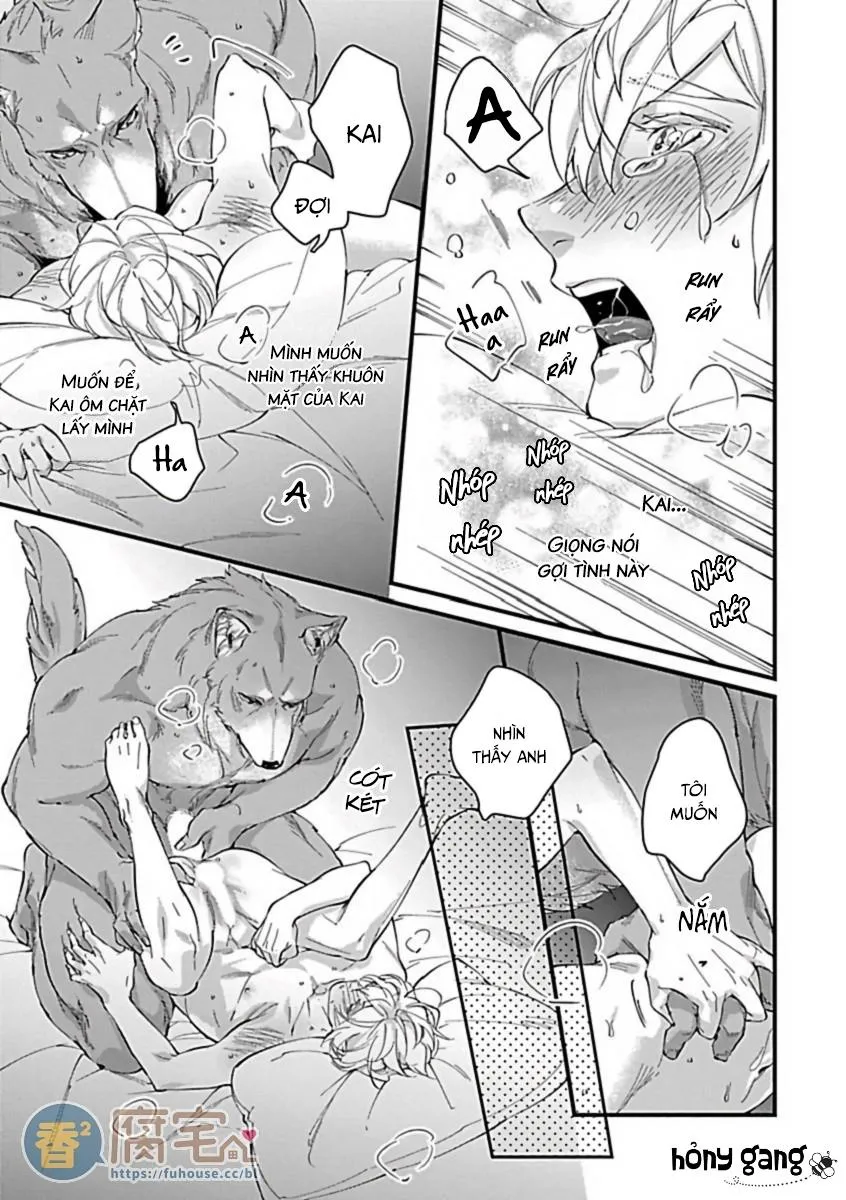 Tuyển Tập Những Con Hàng Ngoại Cỡ Chapter 9 Trang 20