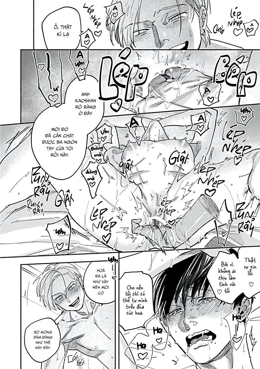 Tuyển Tập Những Con Hàng Ngoại Cỡ Chapter 1 Trang 15