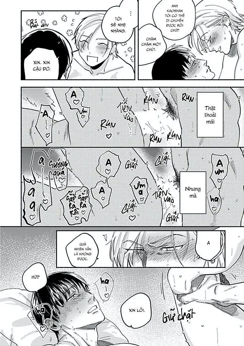 Tuyển Tập Những Con Hàng Ngoại Cỡ Chapter 1 Trang 19