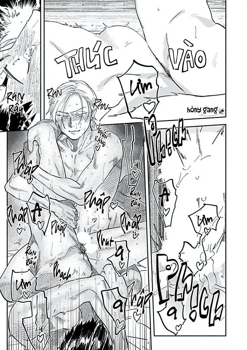 Tuyển Tập Những Con Hàng Ngoại Cỡ Chapter 1 Trang 26