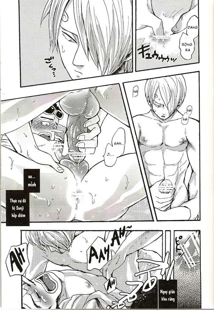 Tuyển tập Onepiece Chapter 8 Trang 19