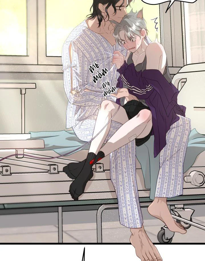 Tuyển Tập Sẽ Chết Nếu Không Làm Tình Chapter 8 Trang 40