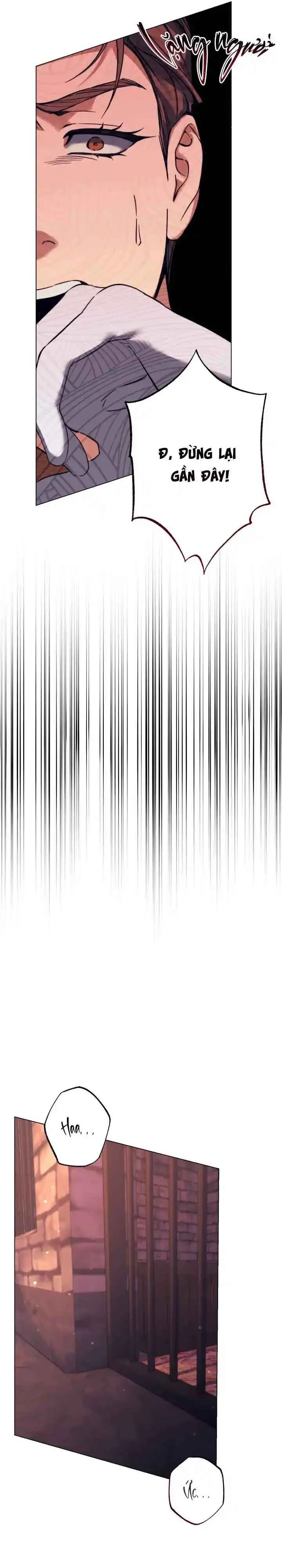 TUYỂN TẬP TRUYỆN MÀU Chapter 1 Trang 27