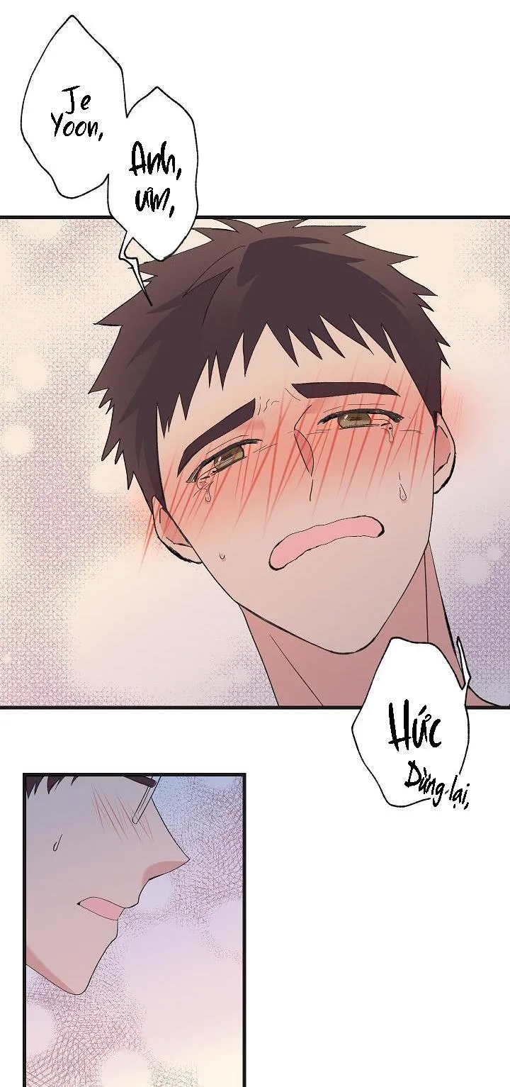 TUYỂN TẬP TRUYỆN NGẮN HỎNY CỦA NHÀ SẸC Chapter 18 Trang 51