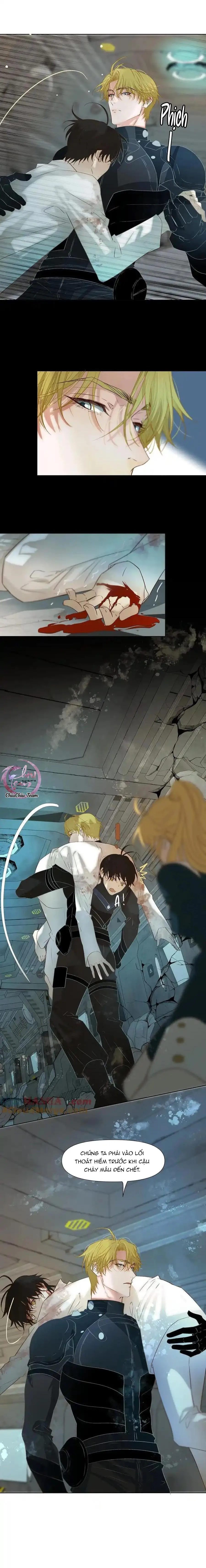 Tuyệt Xử Phùng Sinh Chapter 36 Trang 13