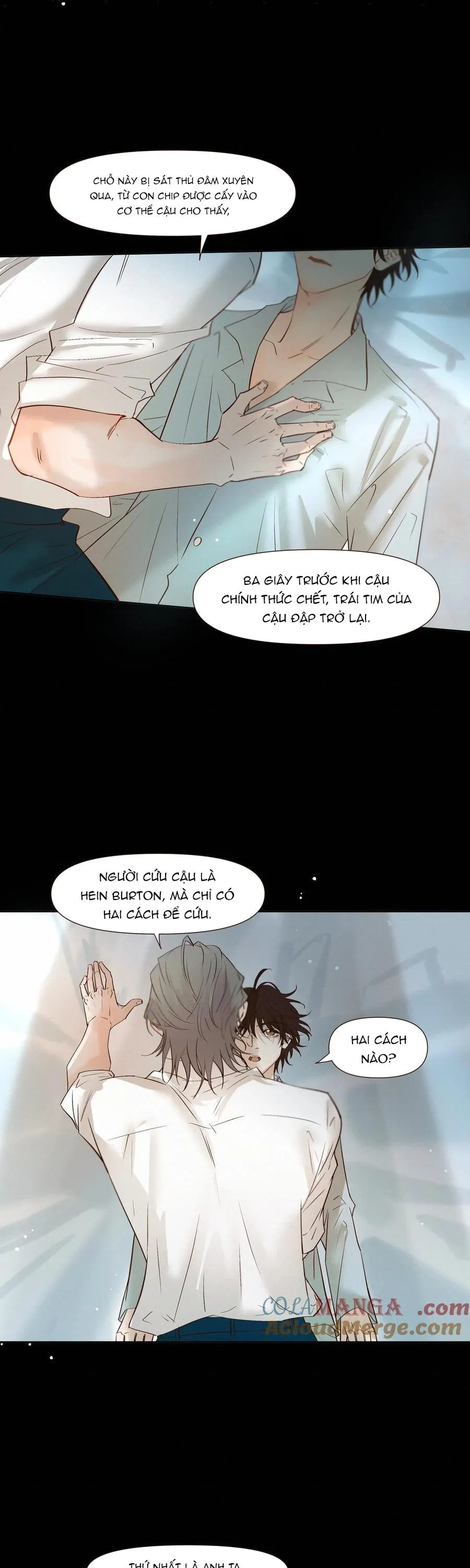 Tuyệt Xử Phùng Sinh Chapter 52 Trang 18