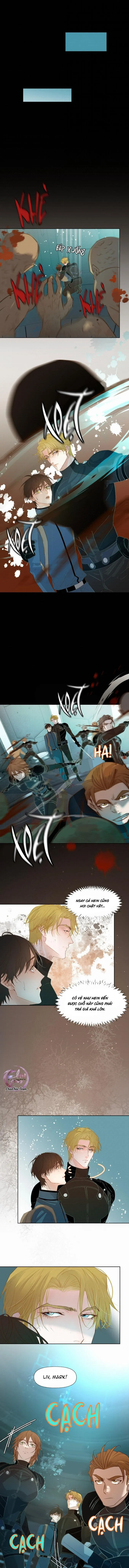 Tuyệt Xử Phùng Sinh Chapter 69 Trang 4