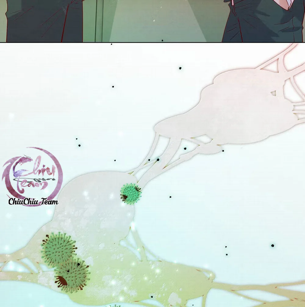 Tuyệt Xử Phùng Sinh Chapter 107 Trang 14