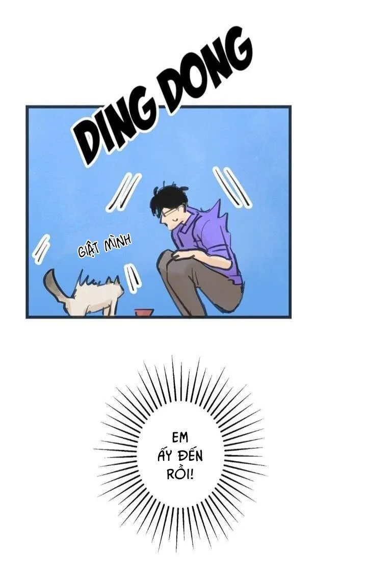 Two Sizes, too small Chapter 5 Trang 13