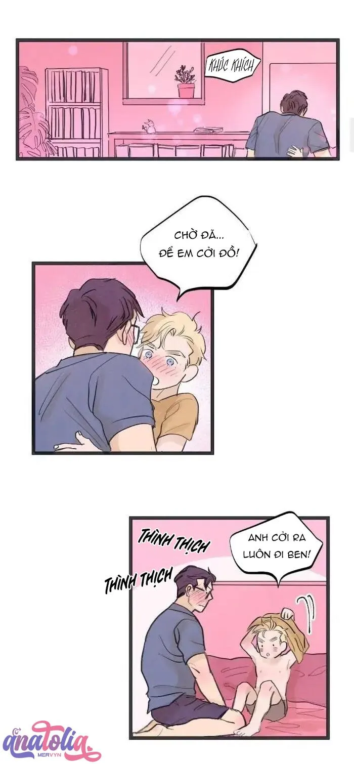 Two Sizes, too small Chapter 49 Trang 17