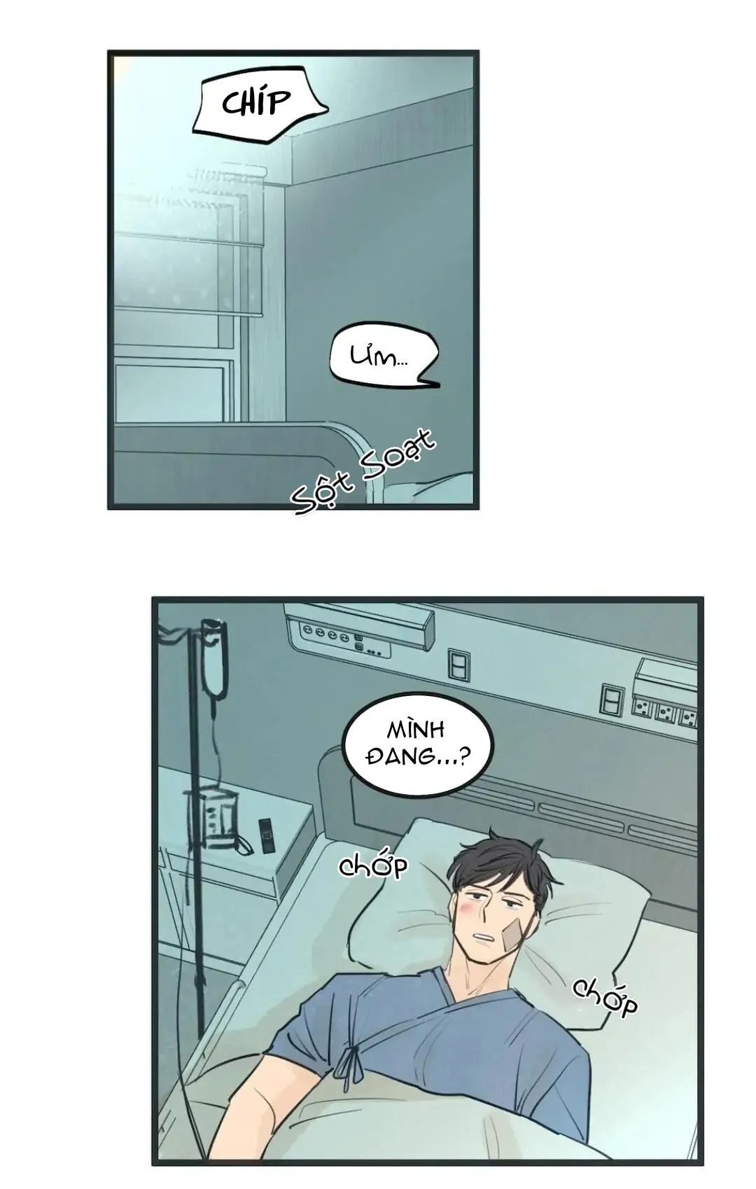 Two Sizes, too small Chapter 65 Trang 16