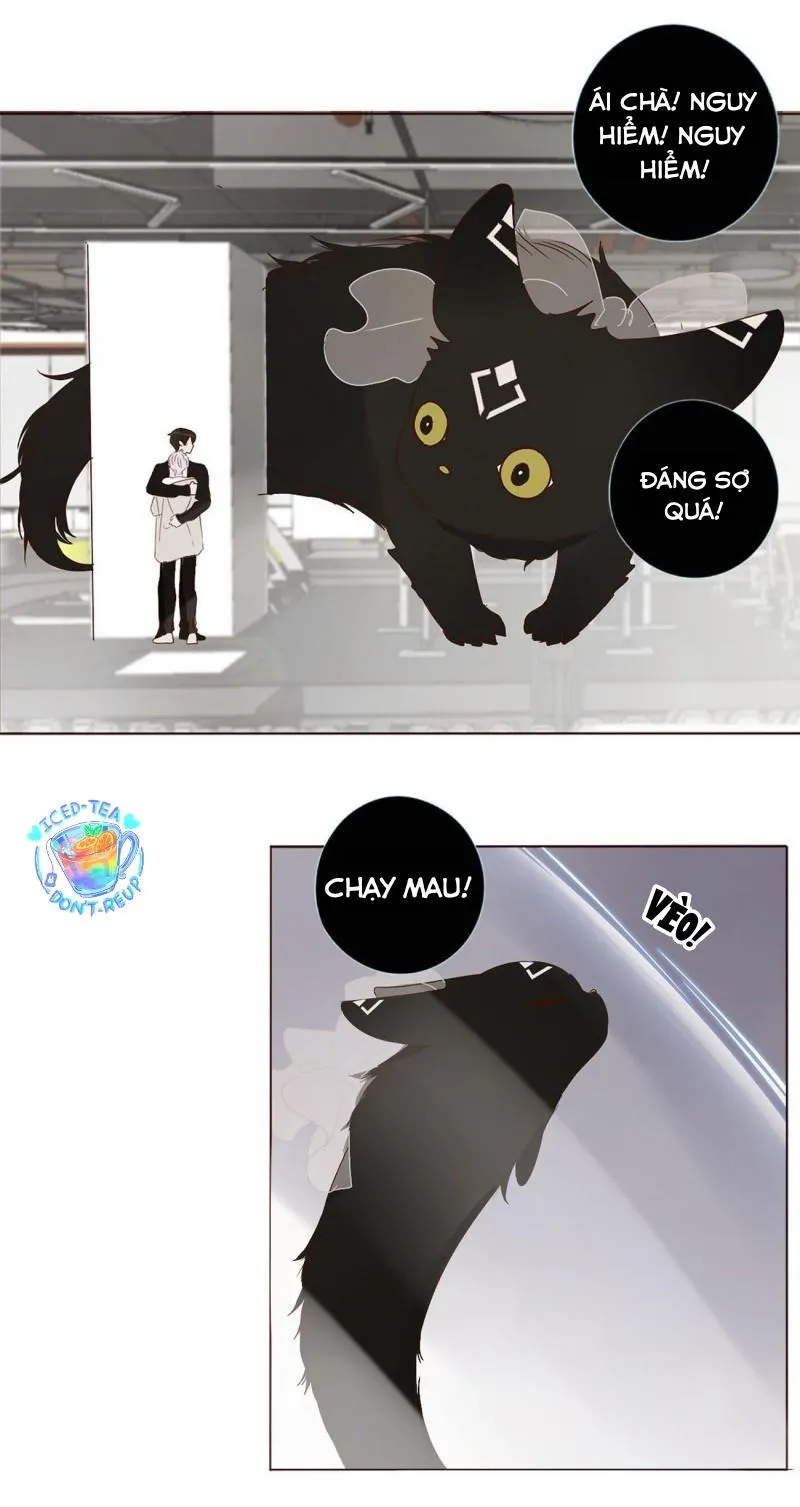 Ủng Nhiên Nhập Hoài Chapter 8 Trang 22