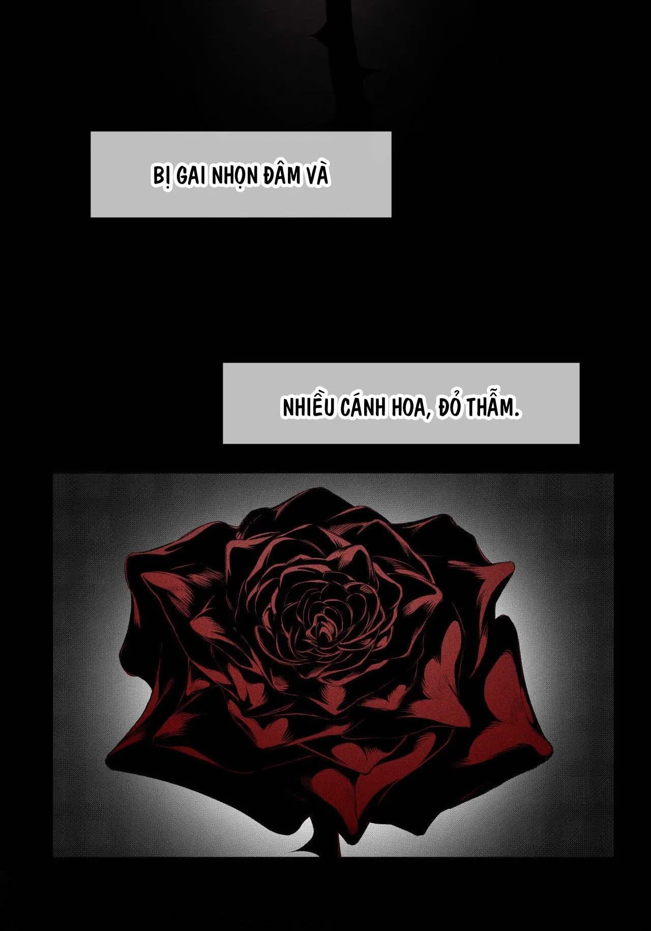 UNHOLY Chapter 3 Trang 43