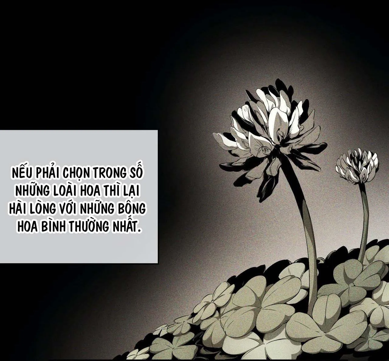 UNHOLY Chapter 3 Trang 50