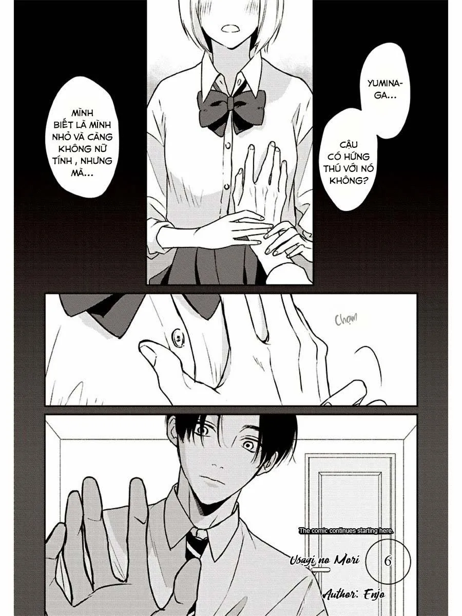 (END) Usagi no Mori Chapter 6 Trang 8