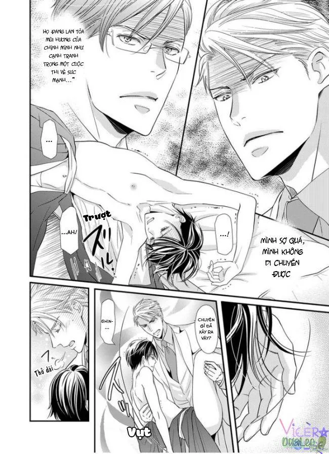 Bạn Đời Dối Trá Chapter 4 Trang 4