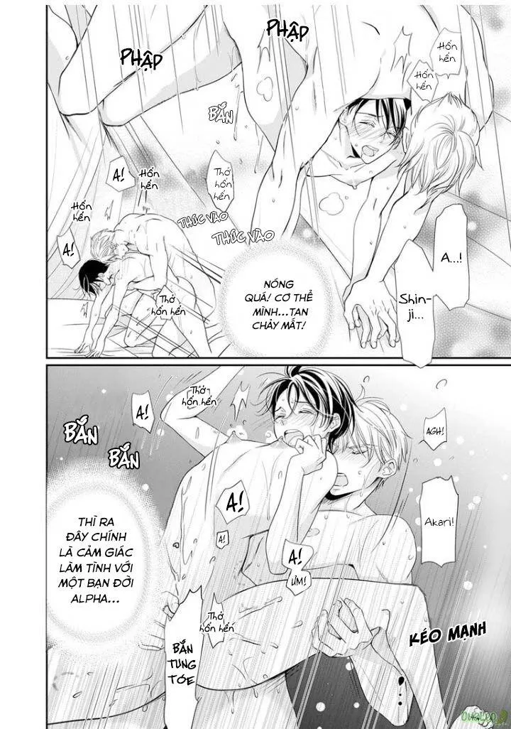 Bạn Đời Dối Trá Chapter 6 Trang 10