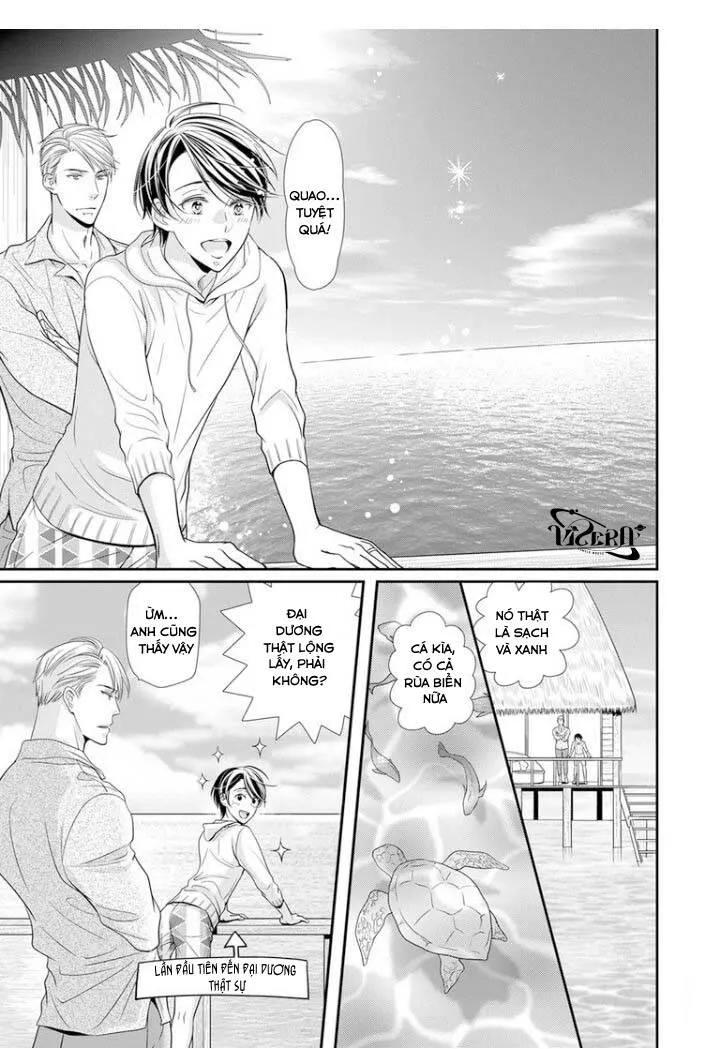 Bạn Đời Dối Trá Chapter 8 Trang 3