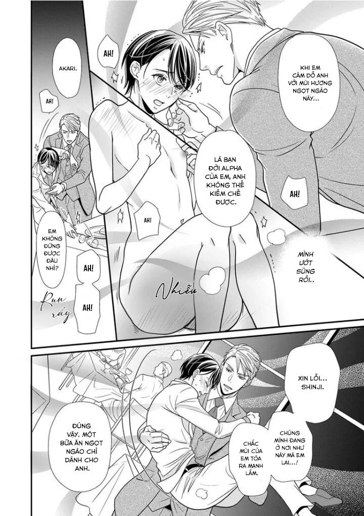 Bạn Đời Dối Trá Chapter 13 Trang 14