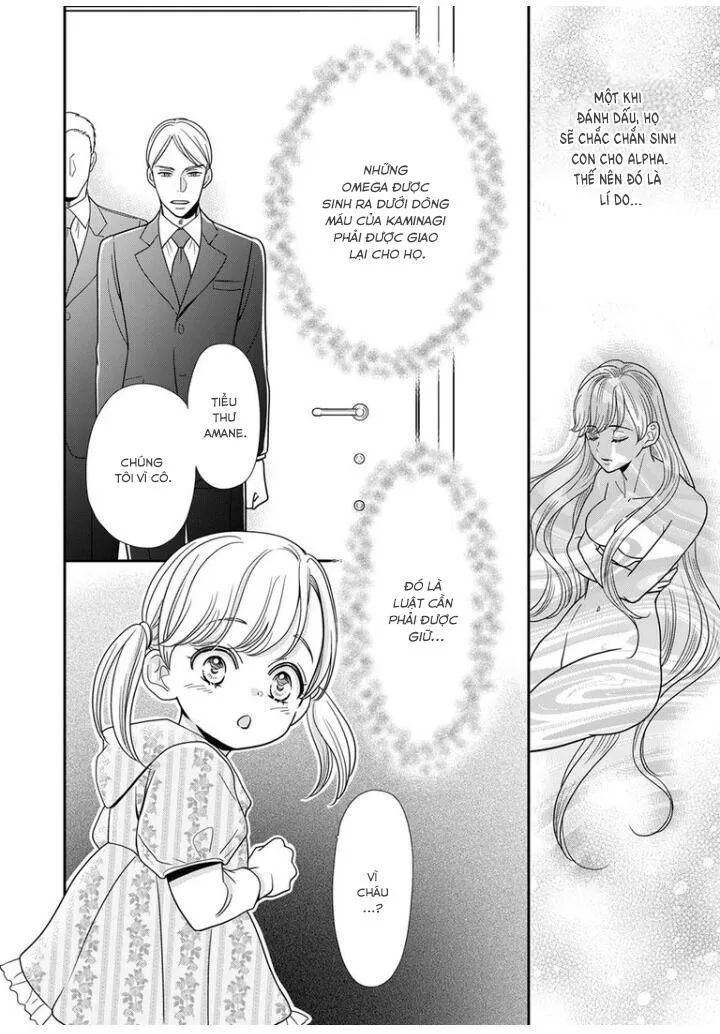 Bạn Đời Dối Trá Chapter 15 Trang 26