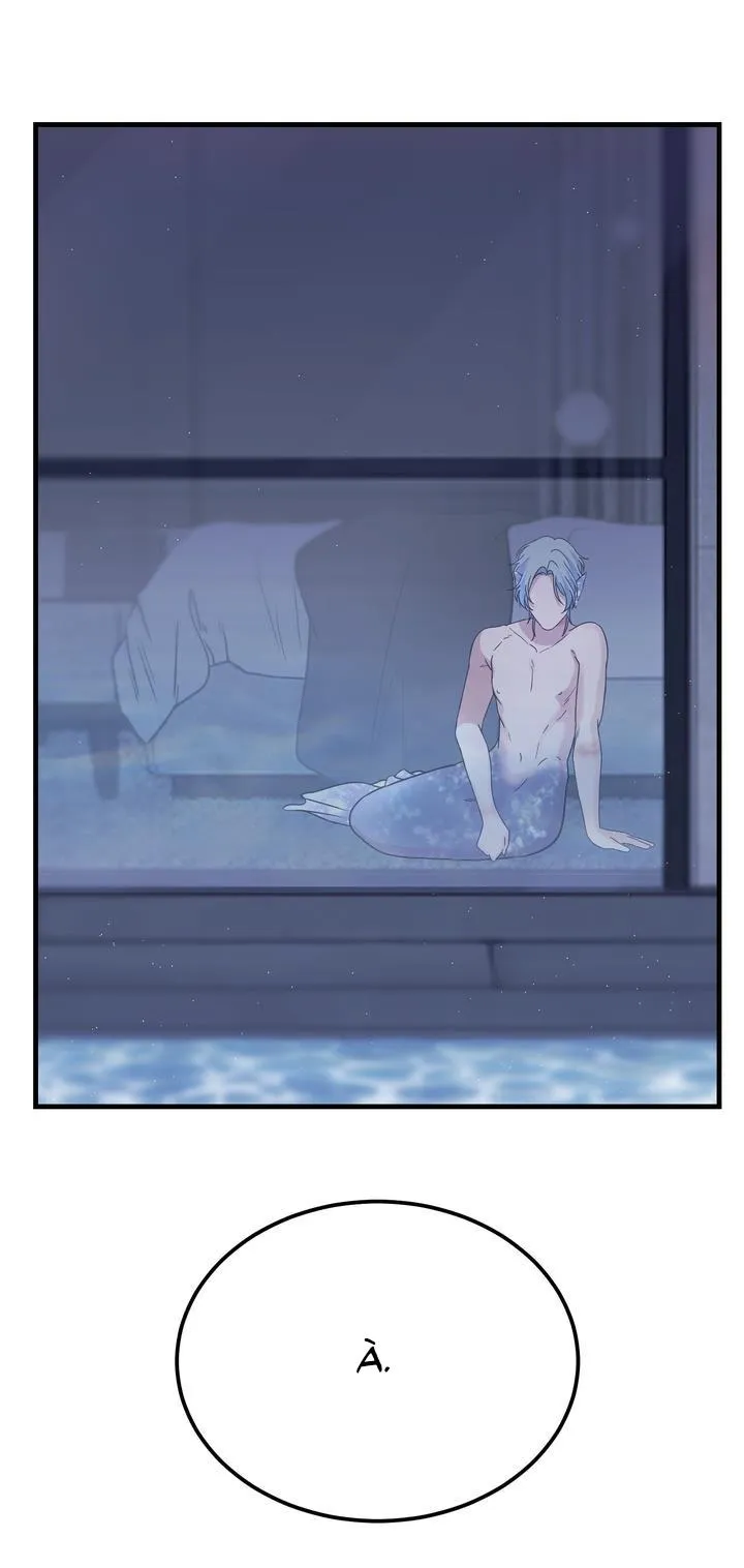 VÀ RỒI NGƯỜI CÁ ĐÃ BIẾN MẤT Chapter 6 Trang 12