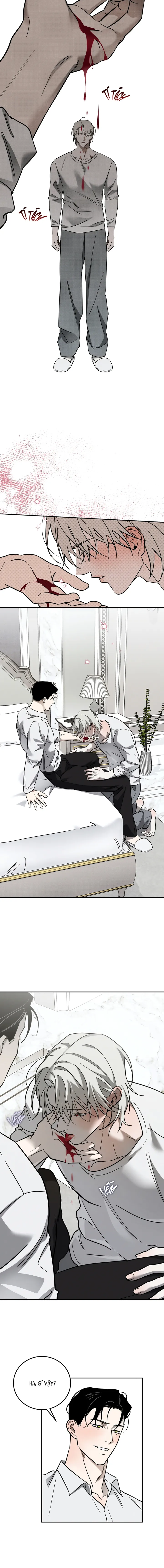 Vampire Homeless Chapter 2 Trang 8