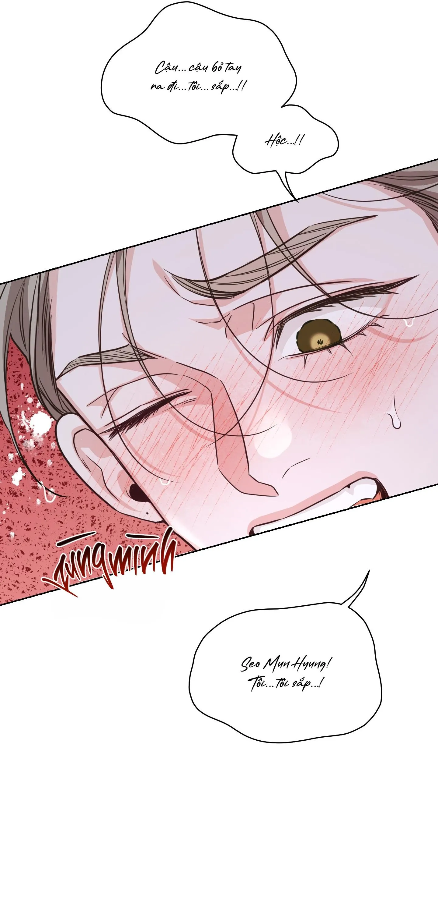 VÁN CỜ LẬT NGƯỢC Chapter 2 Trang 79