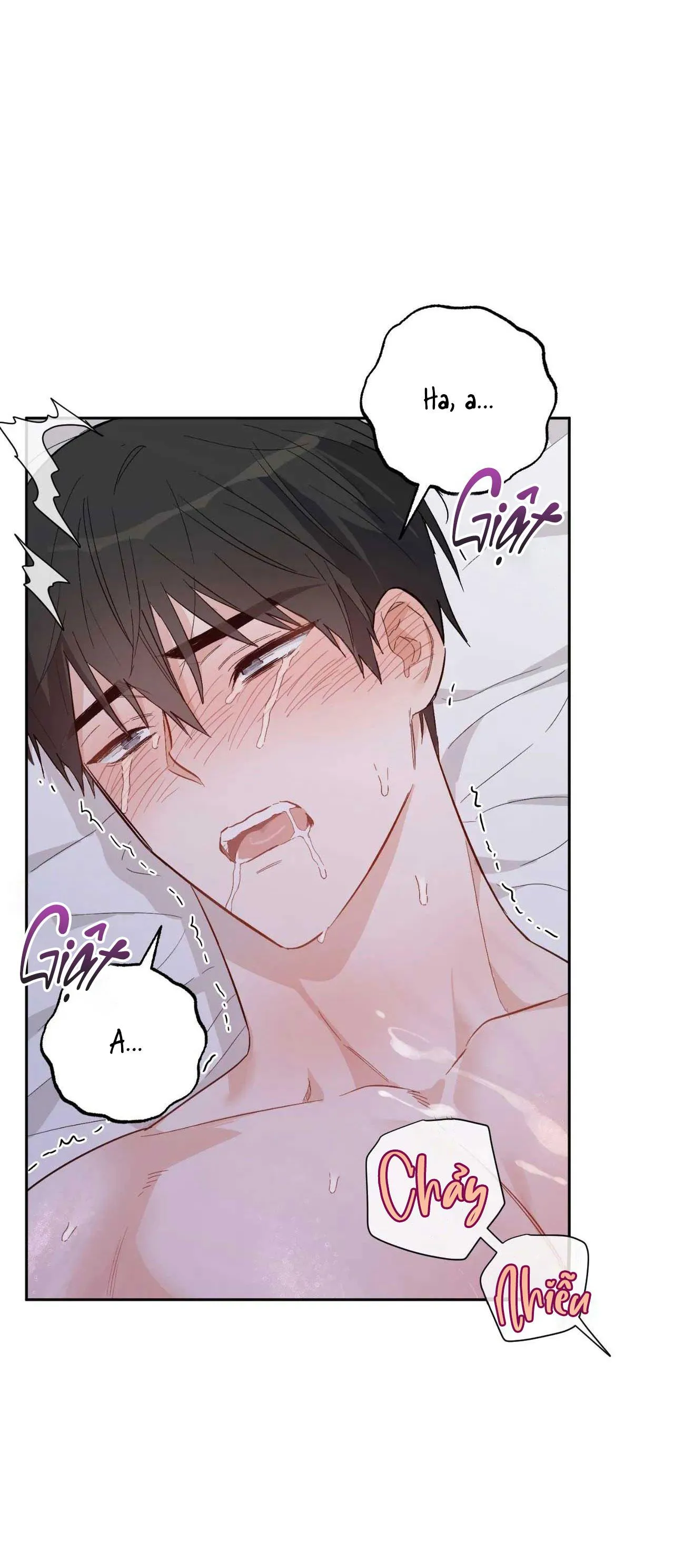 VẬN MỆNH CỦA CẬU LÀ GÌ? Chapter 3 Trang 31
