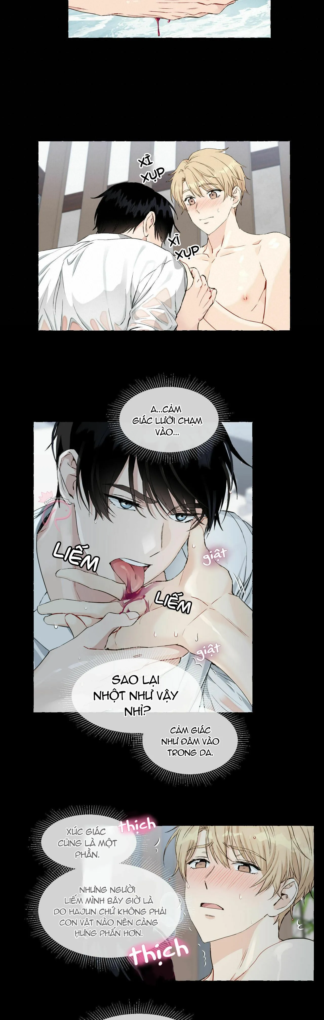 VANILLA NGỌT NGÀO (SM) Chapter 26 Trang 14