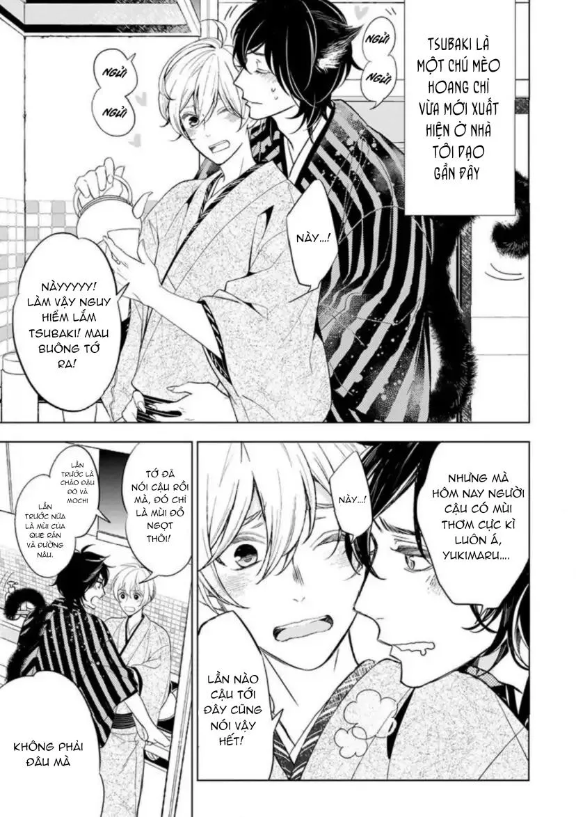 Vào Một Đêm Đầy Sao, Tình Yêu Đã Đến Chapter 4 Trang 3