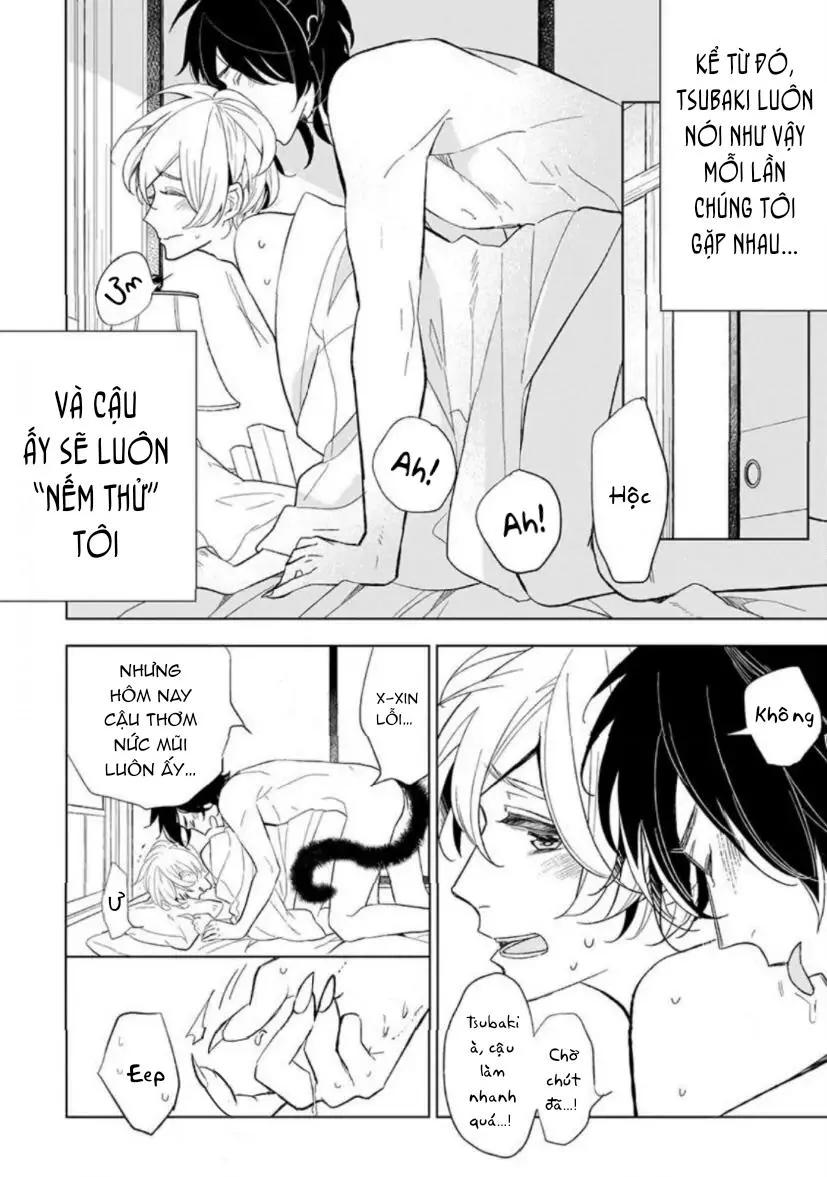 Vào Một Đêm Đầy Sao, Tình Yêu Đã Đến Chapter 4 Trang 12