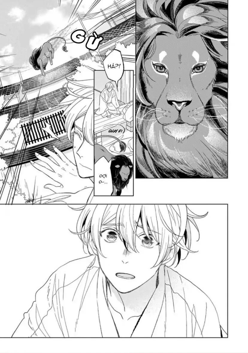 Vào Một Đêm Đầy Sao, Tình Yêu Đã Đến Chapter 4 Trang 25