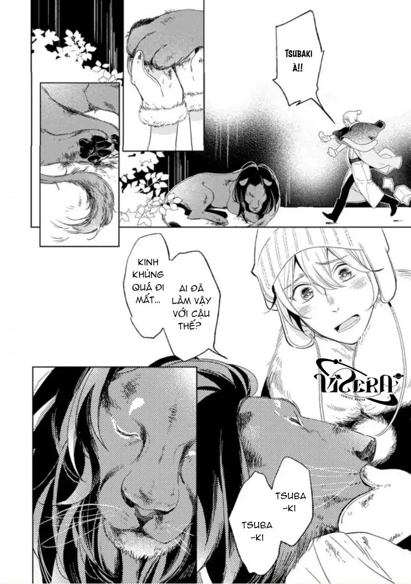 Vào Một Đêm Đầy Sao, Tình Yêu Đã Đến Chapter 4 Trang 48