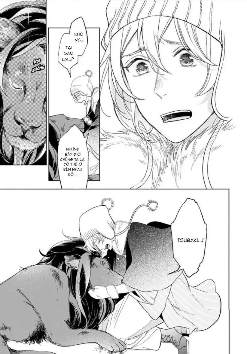 Vào Một Đêm Đầy Sao, Tình Yêu Đã Đến Chapter 4 Trang 49