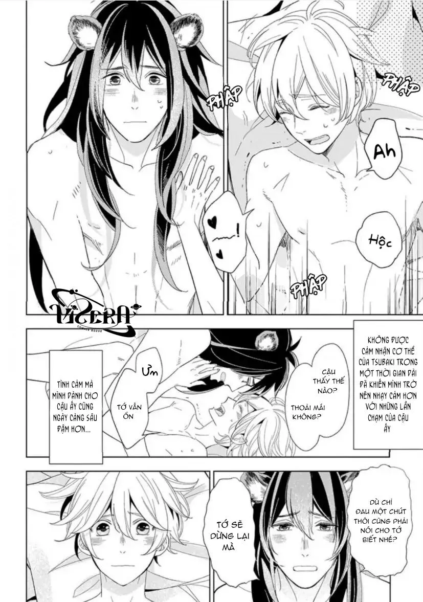 Vào Một Đêm Đầy Sao, Tình Yêu Đã Đến Chapter 4 Trang 64