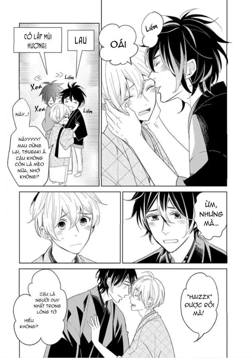 Vào Một Đêm Đầy Sao, Tình Yêu Đã Đến Chapter 5 Trang 3