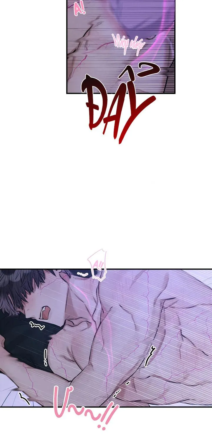 VẤP NGÃ BỞI CÁI TÔI Chapter 4 Trang 19