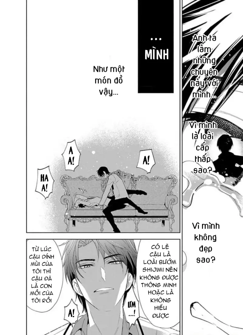 Vấp Ngã Trước Hồi Kết Của Tình Yêu Chapter 9 Trang 11