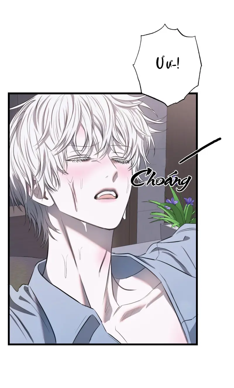 (ABO) VẬT TẾ THẦN Chapter 15 Trang 38