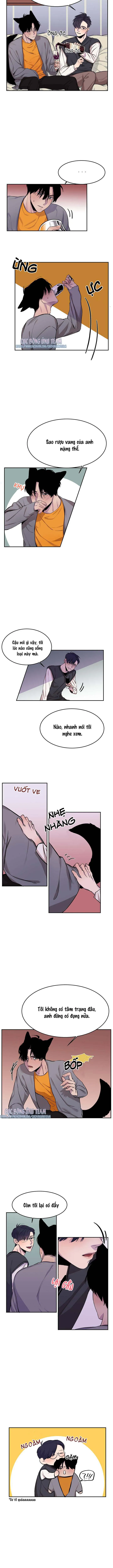 Vẫy Đuôi Chapter 7 Trang 4