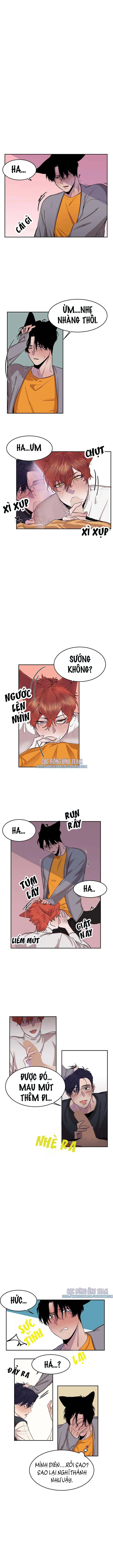 Vẫy Đuôi Chapter 8 Trang 3