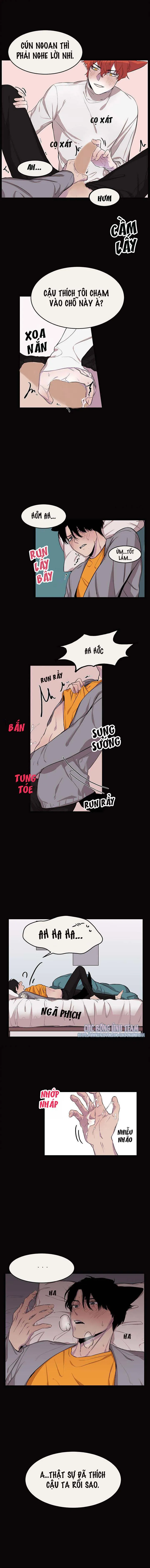 Vẫy Đuôi Chapter 8 Trang 8