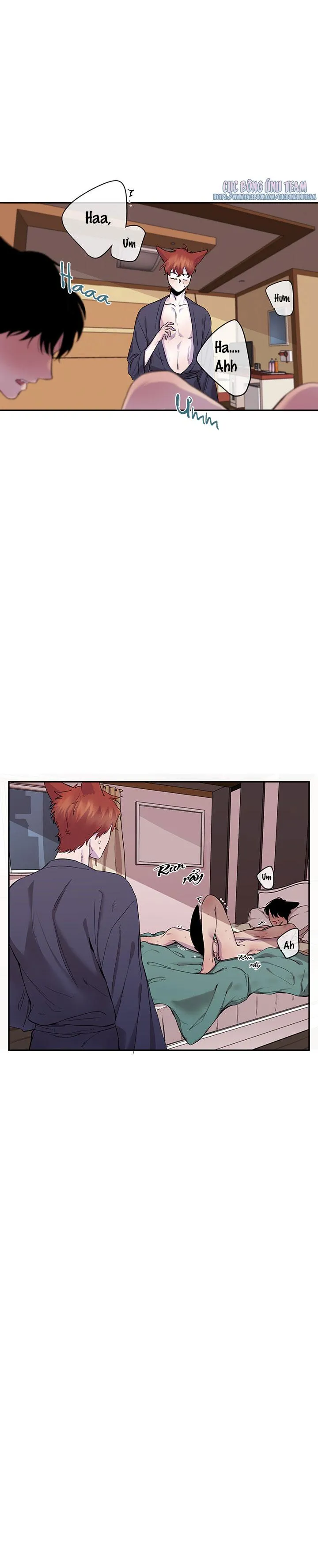 Vẫy Đuôi Chapter 11 Trang 14