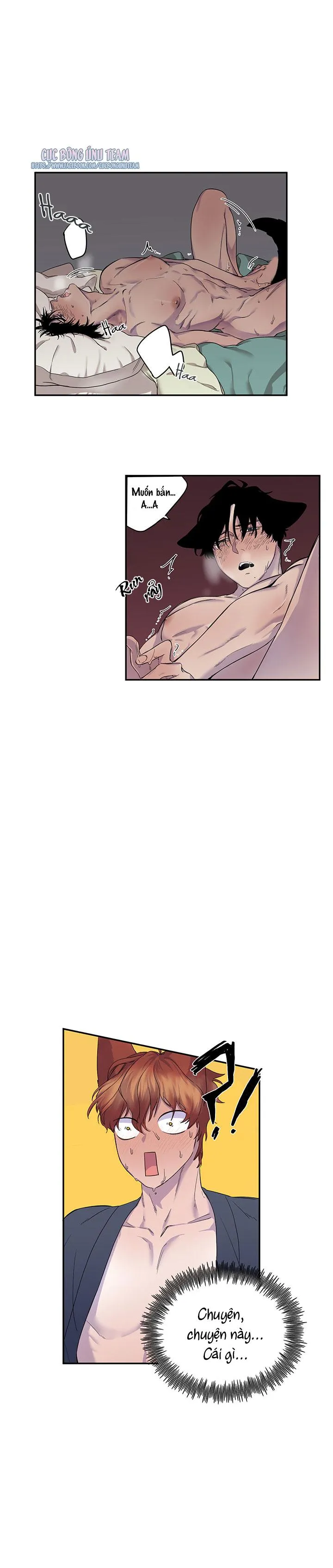 Vẫy Đuôi Chapter 11 Trang 15